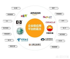 Java與Java開發工程師在信息系統集成服務領域的現狀與前景